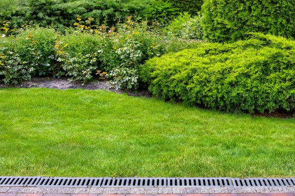 Landscape Drainage