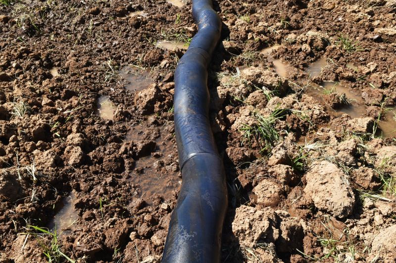 Professional Drainage System Inspection